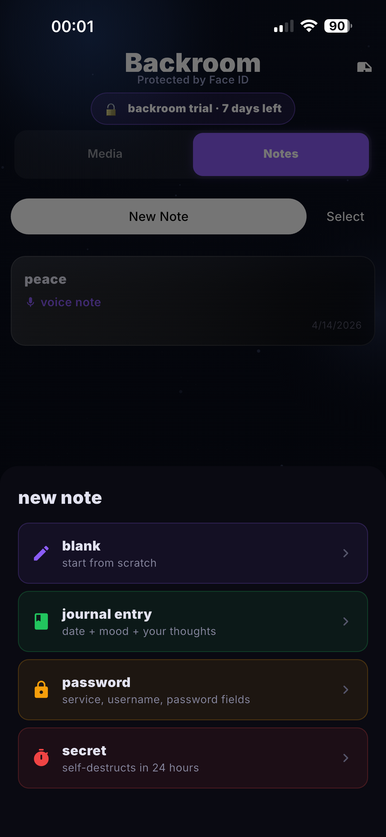 Backroom vault shown side-by-side with the decoy vault on wrong PIN entry